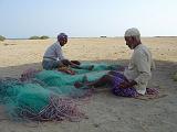 YEMEN - Isole Hanish, Uqban, Zubayr e Kamaran - 010